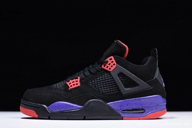 Jordan Retro AQ3816-065 Raptors